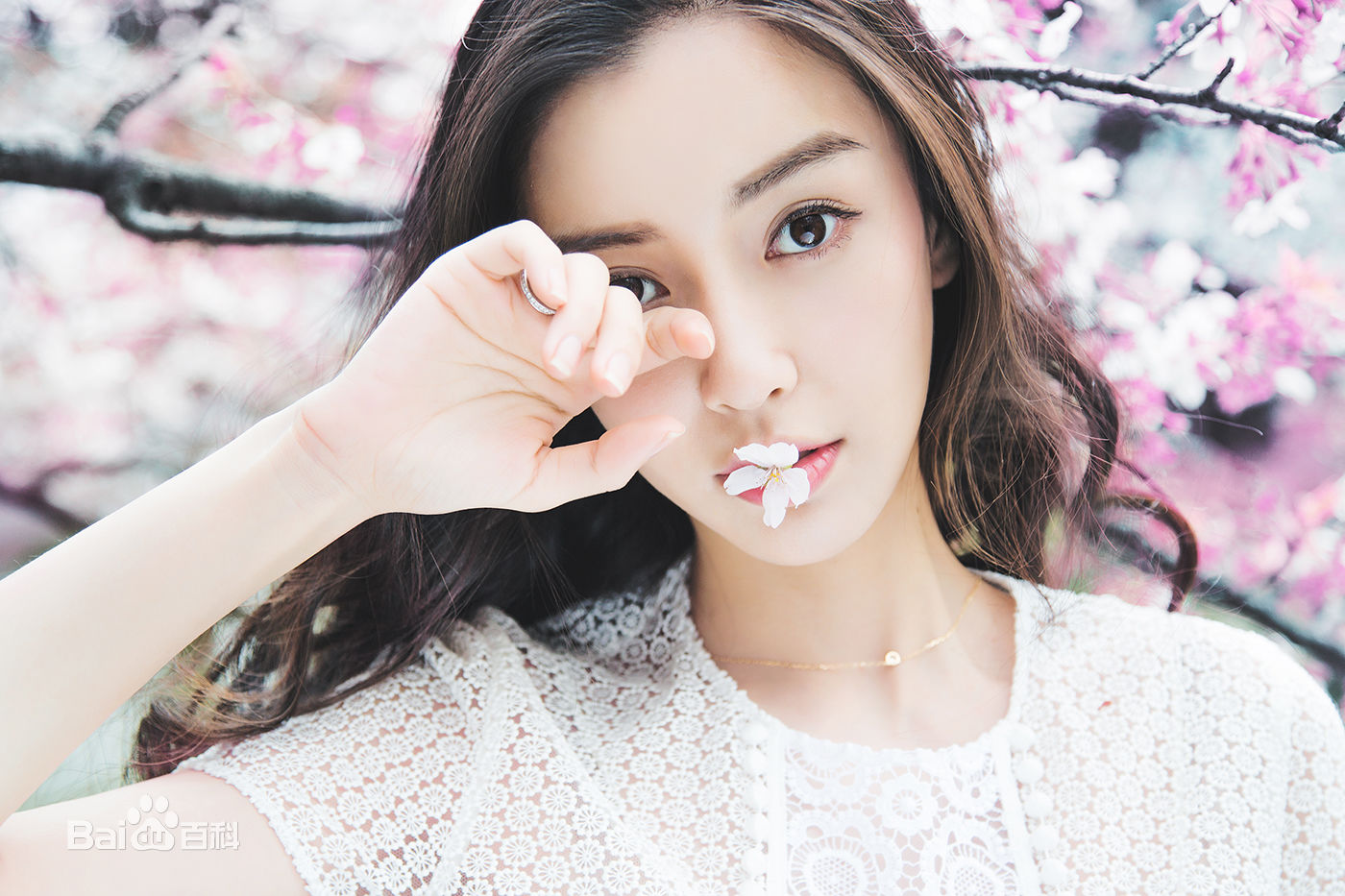 8d5494eef01f3a2927a062b19325bc315c607c60.jpg