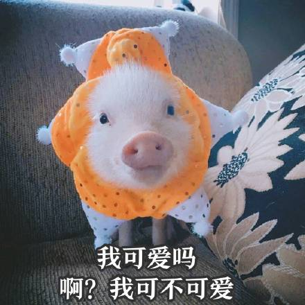 QQͼƬ20180502100930.png