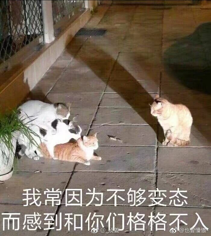 QQͼƬ20180810115029.png