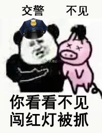 .jpg