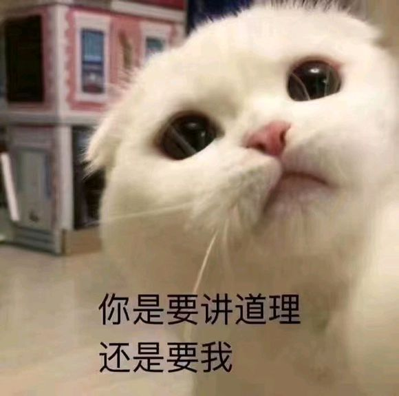 QQͼƬ20181108104328.png