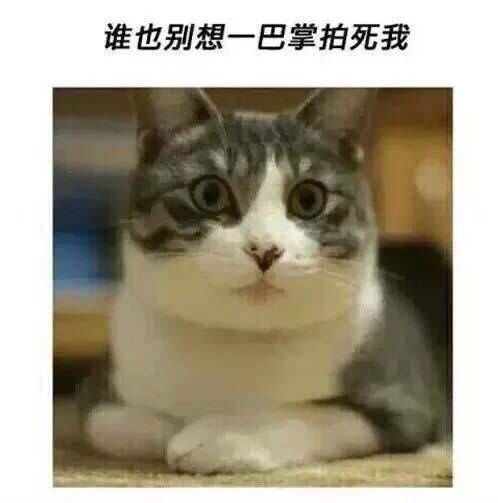 QQͼƬ20190401193951.jpg