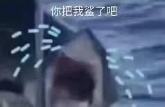 QQͼƬ20190429143727.jpg
