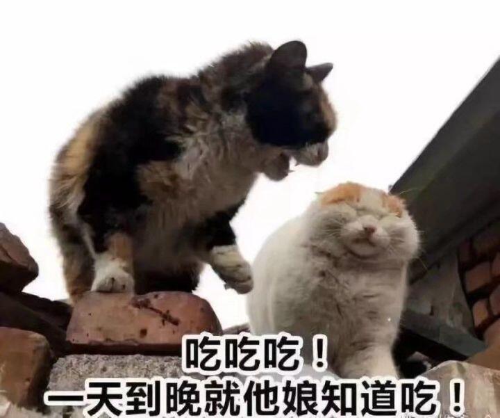 QQͼƬ20190513162712.jpg