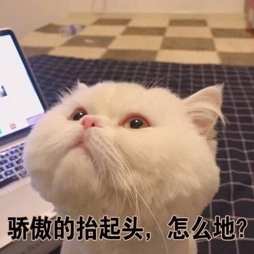 QQͼƬ20190516094258.jpg
