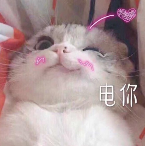 CFF374CF-9102-45A3-A4EB-F0DE9AABF997.jpeg