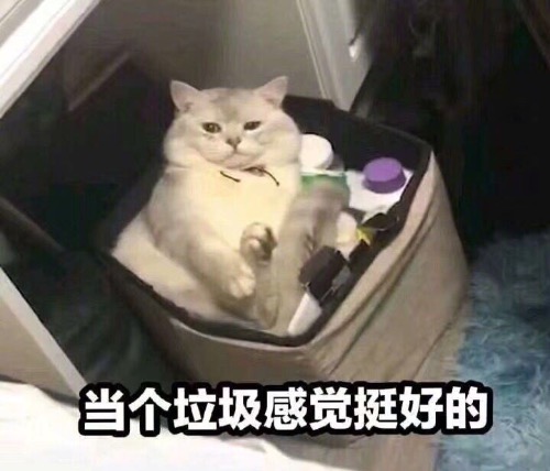 312B26F5-BB4C-4873-AD8F-84C91F5BC3BE.jpeg