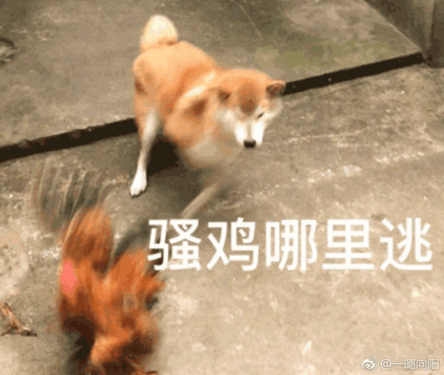 ͼ3.gif