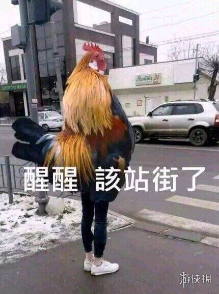 ͼ5.jpg