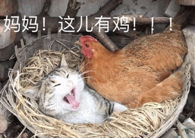 ͼ4.gif