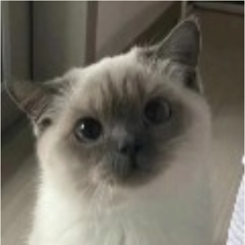 [135]С.png