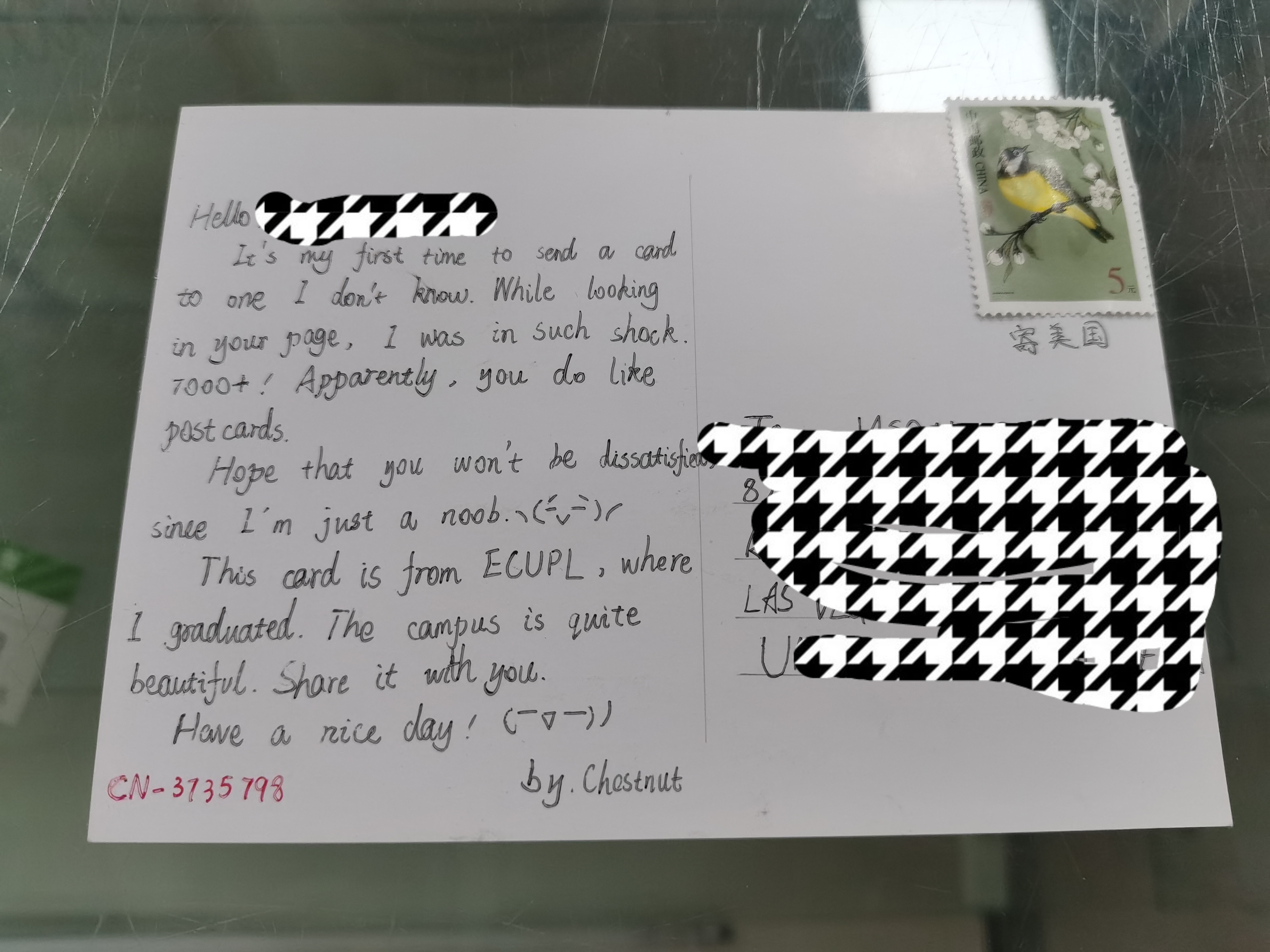 3735798.jpg