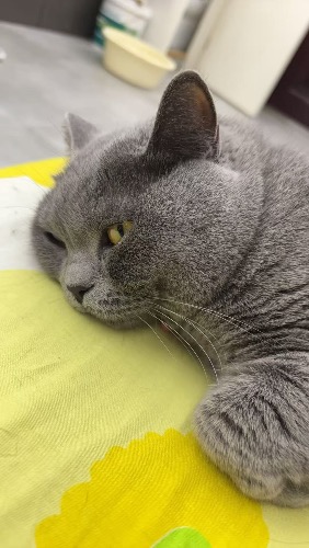 74bd280ba2b0d515c443769bee817fed.jpeg