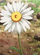 ��ͼ202605251458122749.gif