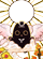 ��ͼ202605251622379030.gif