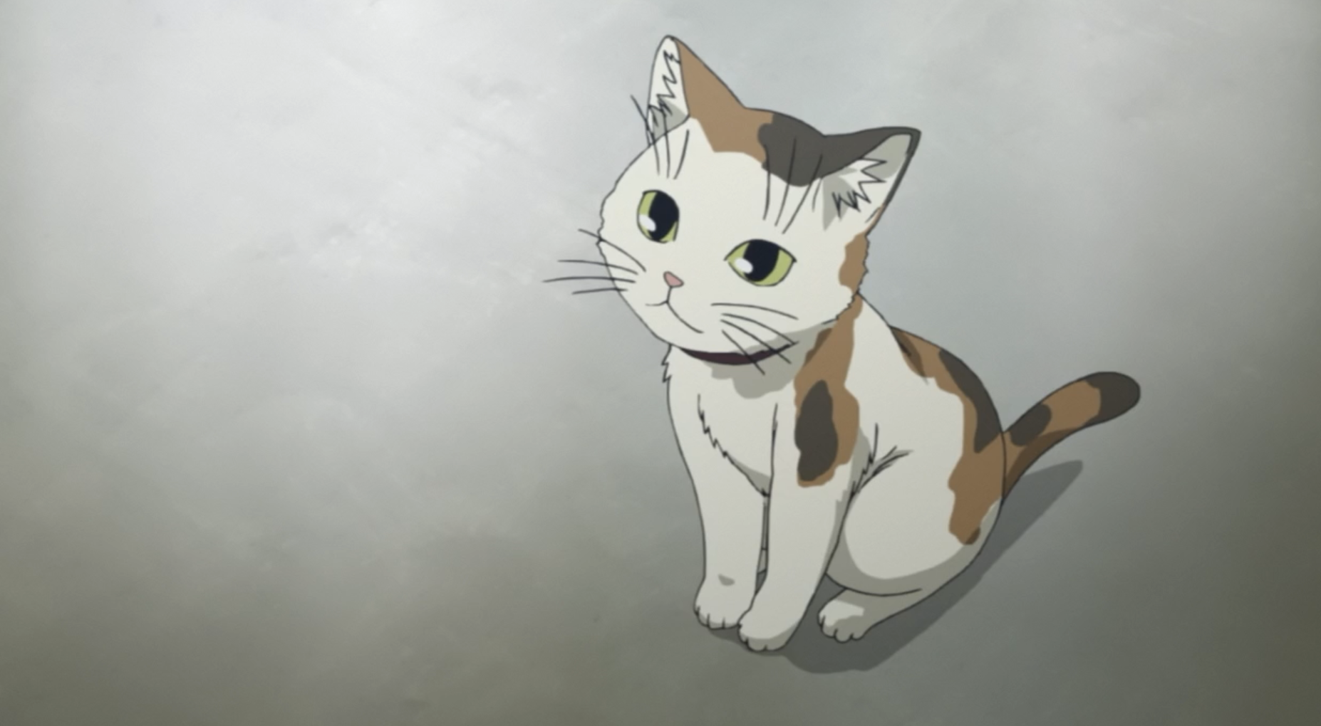 18.png