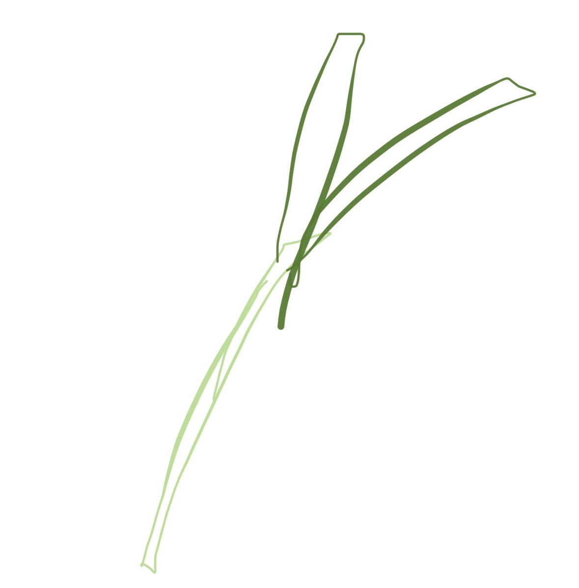 ��һ��9.png