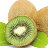 [024A]kiwi