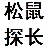 ̽