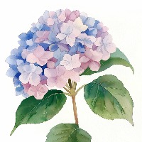 [M173]��������