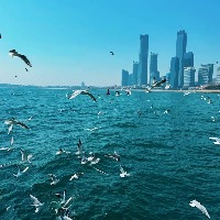 [G2]�·�����