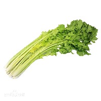 [G2]���ҹ��۲�