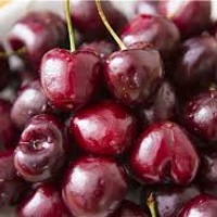 [L1]������