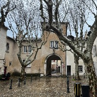 [245]�������