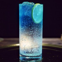 [245]�����֪��