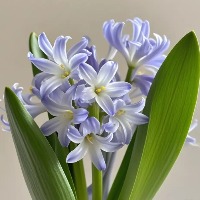 [Y2]������