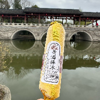 [Y3]�ƾƱ���