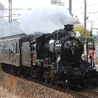 [252]�����г�