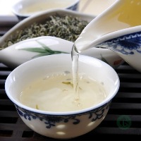 [M196]�ɶ���¶