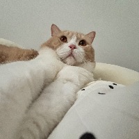 [M200]����